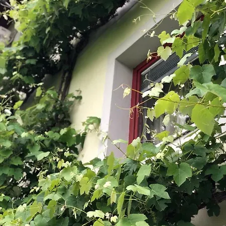 Vila Duem Lejlighed